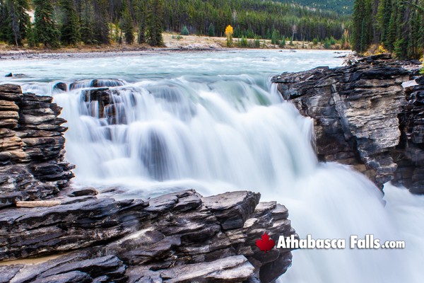 Athabasca Falls in Jasper National Park in April
