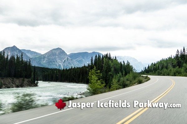 Jasper Icefields Parkway During April