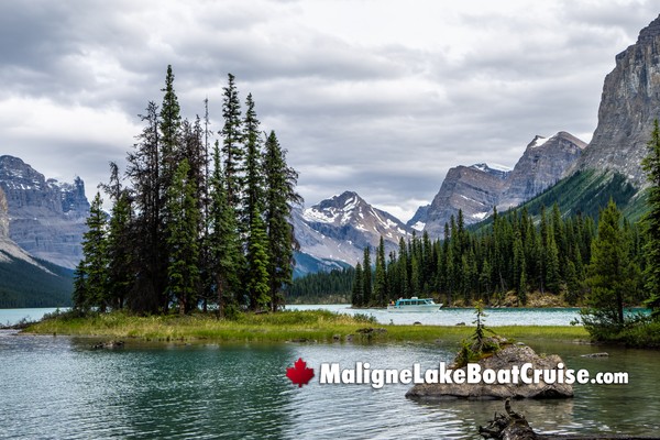 Jasper Maligne Lake Boat Cruise During April