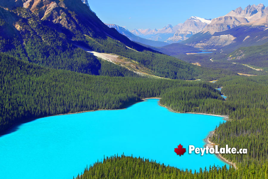April at Peyto Lake